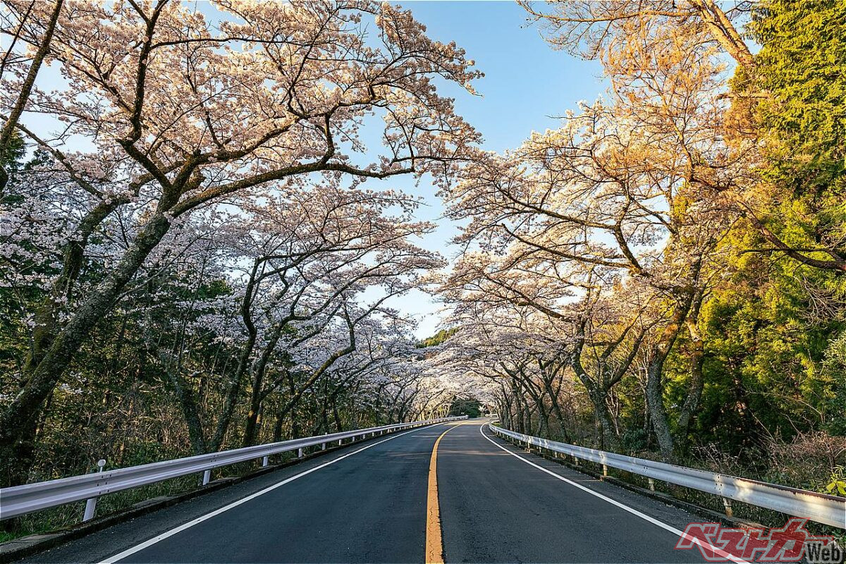 Driving Season! Is Spring Really the Most Fuel-Efficient? Thorough Explanation of the Relationship Between Temperature and Cars!!!