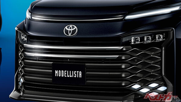 フロントロアグリルガーニッシュ（2万4200円）