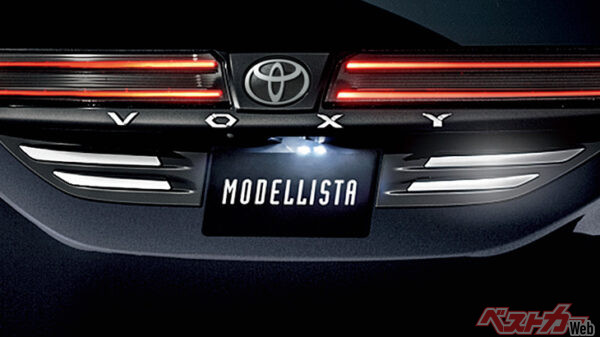 バックドアガーニッシュ。3万800円