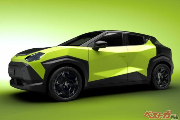 うーんよくぞこれを市販化したというペッキペキボディ！