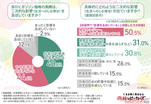 ガソリン価格の高騰は、消費者の日常生活にどのような二次的影響を及ぼしているのか