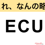 【今さら聞けない!?】これ、なんの略？ 自動車界の略語クイズ「ECU」