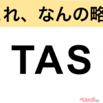 【今さら聞けない!?】これ、なんの略？ 自動車界の略語クイズ「TAS」