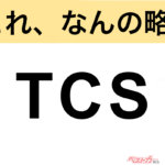 【今さら聞けない!?】これ、なんの略？ 自動車界の略語クイズ「TCS」