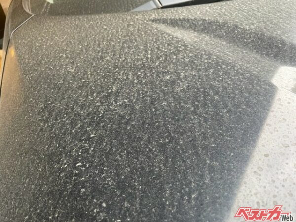 20～22 日にかけて飛来した黄砂を1日放っておいただけでこのありさま