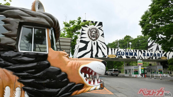 今回お邪魔したのは群馬県富岡市にある群馬サファリパーク。間近で動物たちを見られるお馴染みの場所だ!!