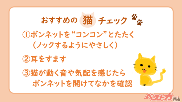 乗車前に“猫チェック”を！