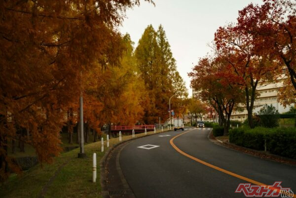 黄色いセンターライン区間では、自転車を安全に追い越そうとすると、対向車線側へはみ出さなければならないケースも（PHOTO：Adobe Stock_satoru）