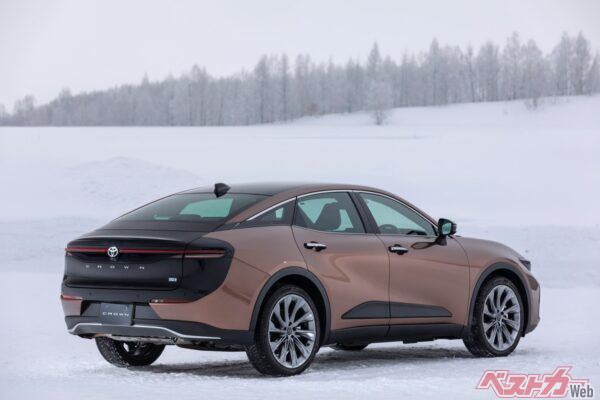 車両本体価格595万円に、プレシャスホワイトパールやディーラーオプションを加えると、車両価格の合計は612万1160円となる