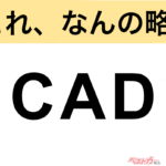 【今さら聞けない!?】これ、なんの略？ 自動車界の略語クイズ「CAD」