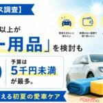 夏ボーナスでカー用品買う人増加中!! ご予算は5千円未満がメインか!?