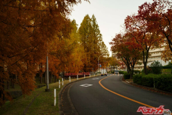 このように狭い道で左側に自転車が走っていたら、黄色いセンターラインを越えて走ってもOK？（satoru＠Adobe Stock）