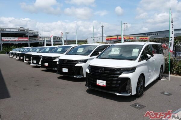 見よ、このアルヴェルの並び!!　もちろん即納OKの中古車たちだ
