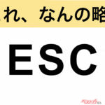 【今さら聞けない!?】これ、なんの略？ 自動車界の略語クイズ「ESC」