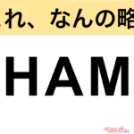 【今さら聞けない!?】これ、なんの略？ 自動車界の略語クイズ「HAM」