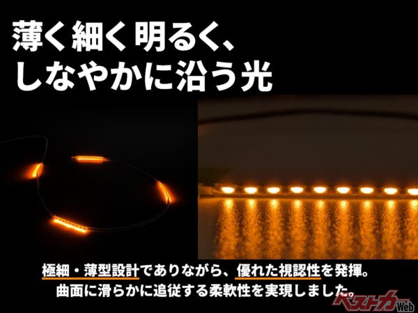 しなやかな光