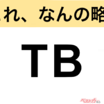 【今さら聞けない!?】これ、なんの略？ 自動車界の略語クイズ「TB」