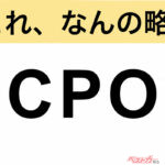 【今さら聞けない!?】これ、なんの略？ 自動車界の略語クイズ「CPO」
