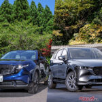 新型待ち、モデル末期、マイチェン直前……いつ買うのが正解!?　後悔しないクルマ購入のタイミングとは？