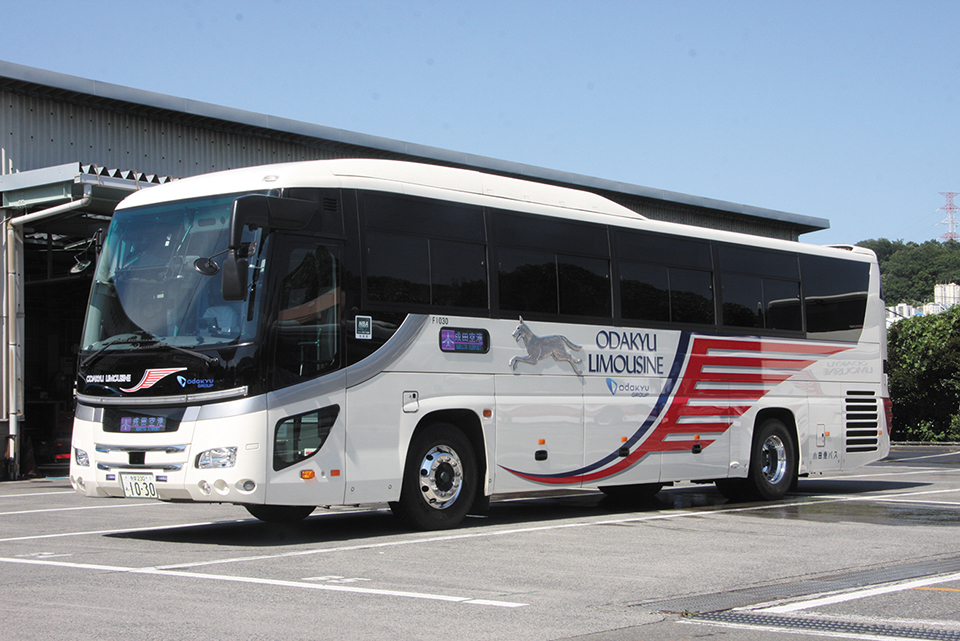 2000年に小田急バスが開業した空港連絡路線、2008年に小田急シティバスが開業した都市間昼行路線には、小田急グループ共通の貸切カラーを採用。ただし犬のレリーフがついているのはこの2社だけである。また空港連絡バスには“ODAKYU LIMOUSINE”の英字があしらわれている