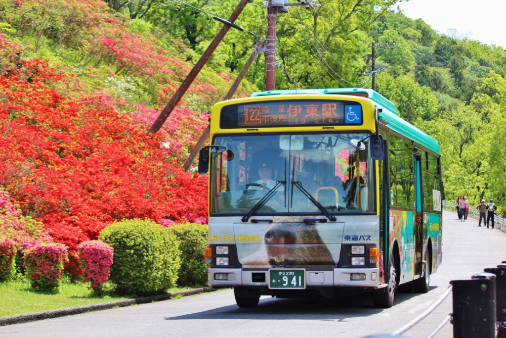 東海バスが新たなフリーパスを販売開始!!　10月15日を待て!!