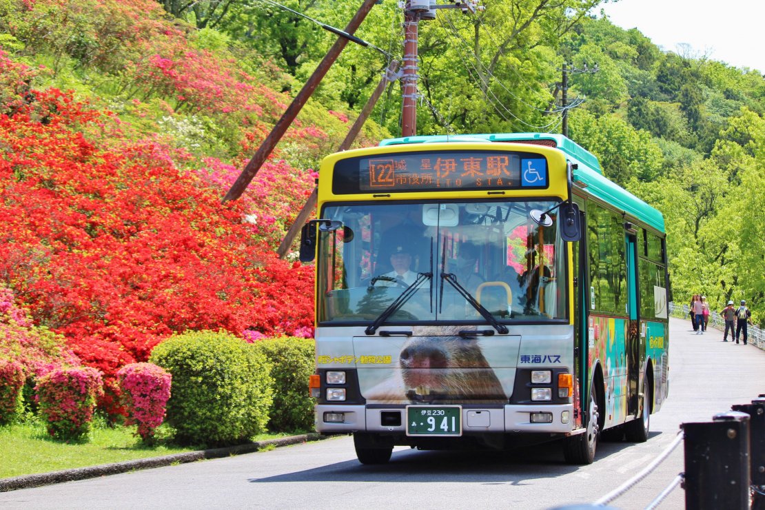 東海バスが新たなフリーパスを販売開始 10月15日を待て バス総合情報誌 バスマガジン 公式webサイト