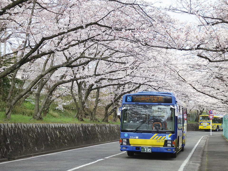 近鉄奈良・大阪・南大阪線を結び、大阪市ではオープントップバスを運行する近鉄バス