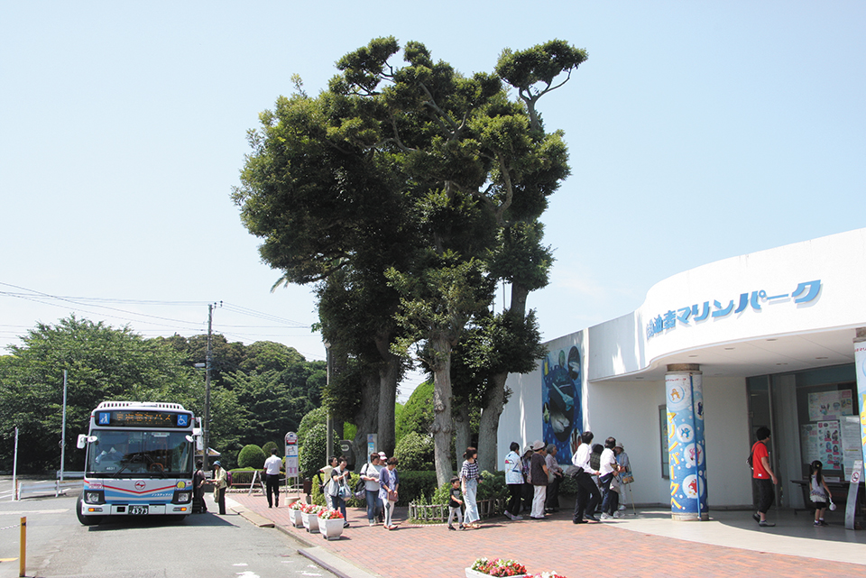 京浜急行電鉄沿線にグループ4社の路線を展開する京急バス
