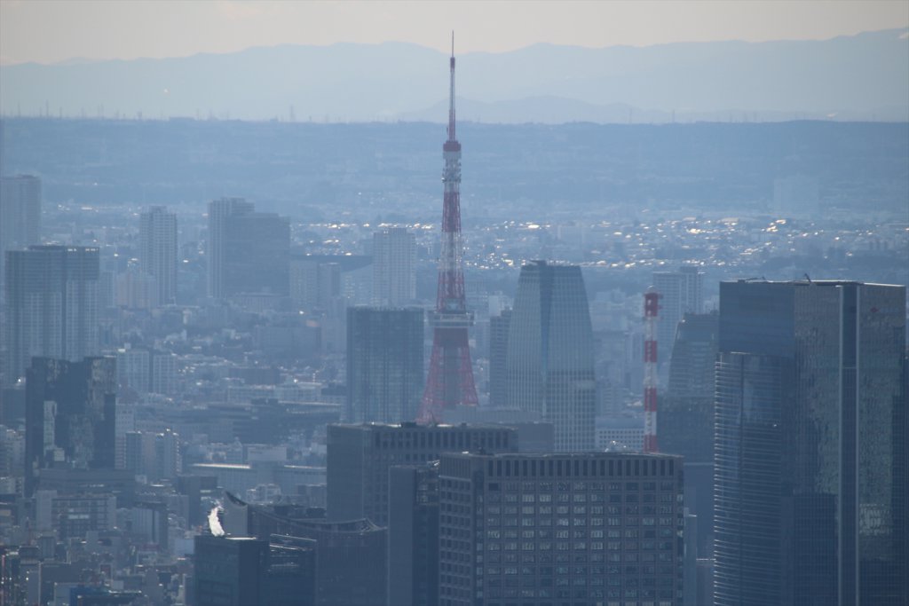 東京スカイツリーから東京タワーを「見下ろす」