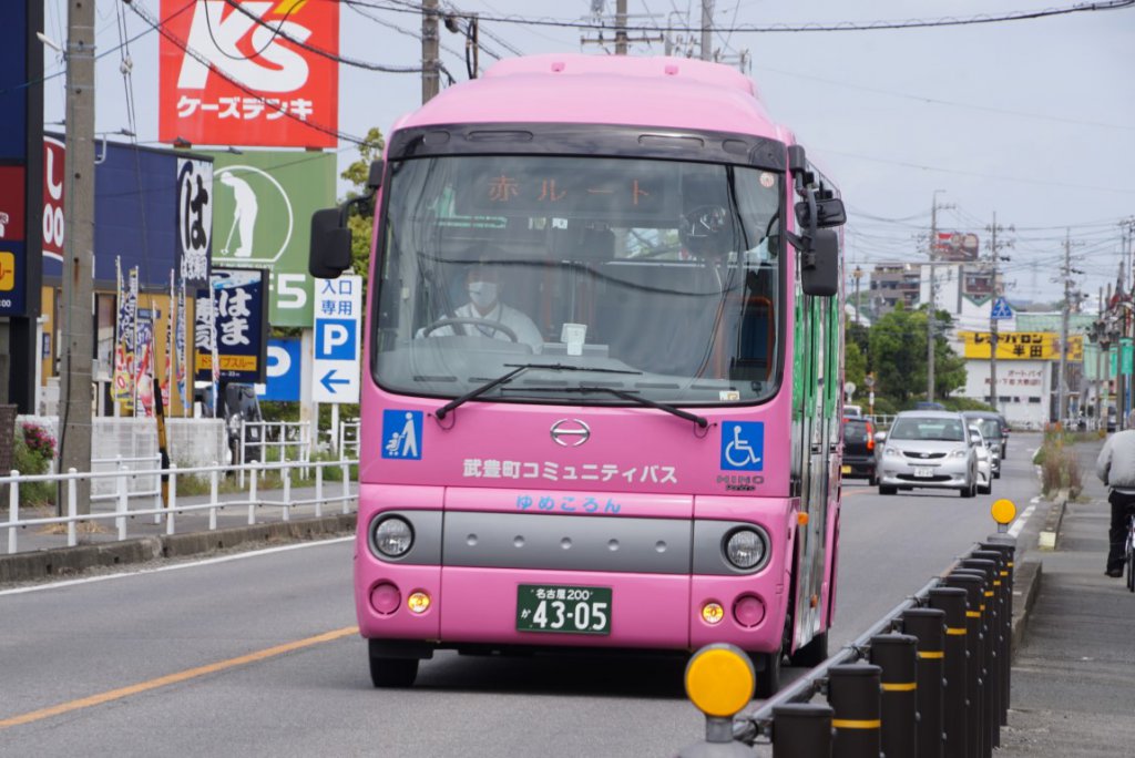 ピンクと青のバスが路線カラー別で走る
