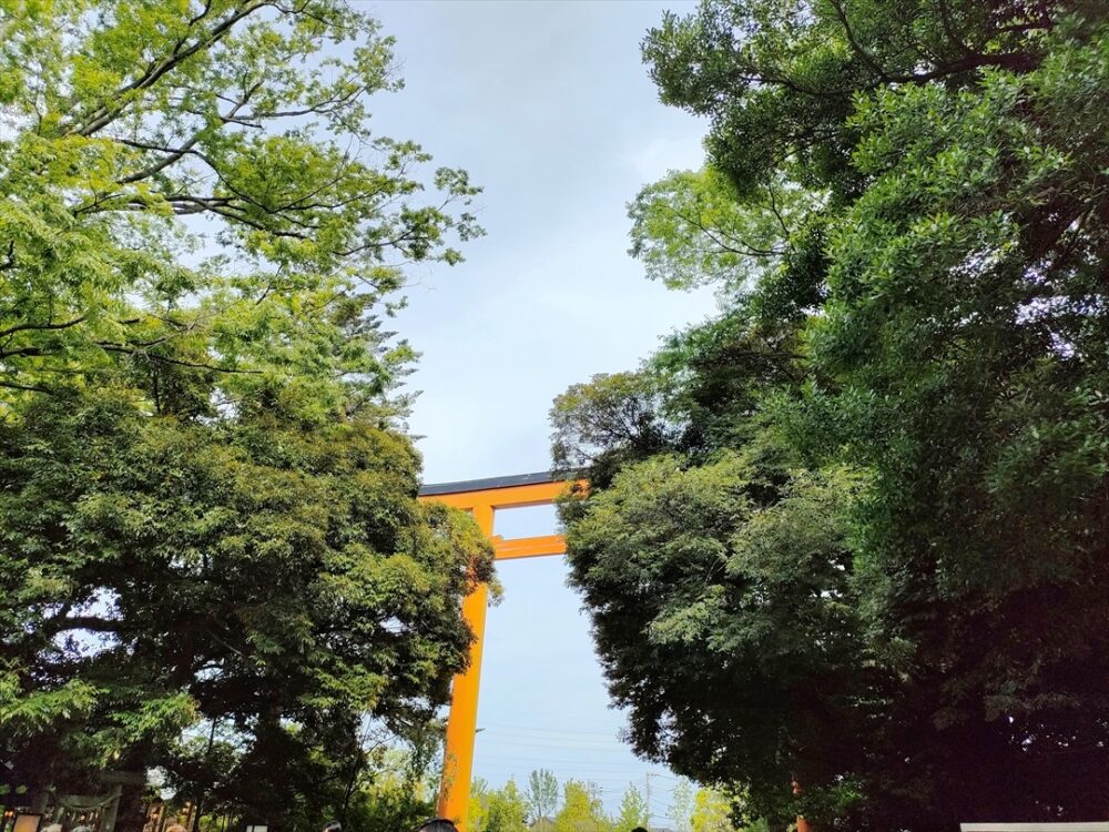 人気の氷川神社へは多くの参拝者がある