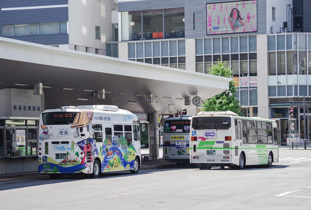 1台しかない徳島市営バスの日野ポンチョ（左）は数で見ると珍しい? 右と奥の2台はいずれも中型