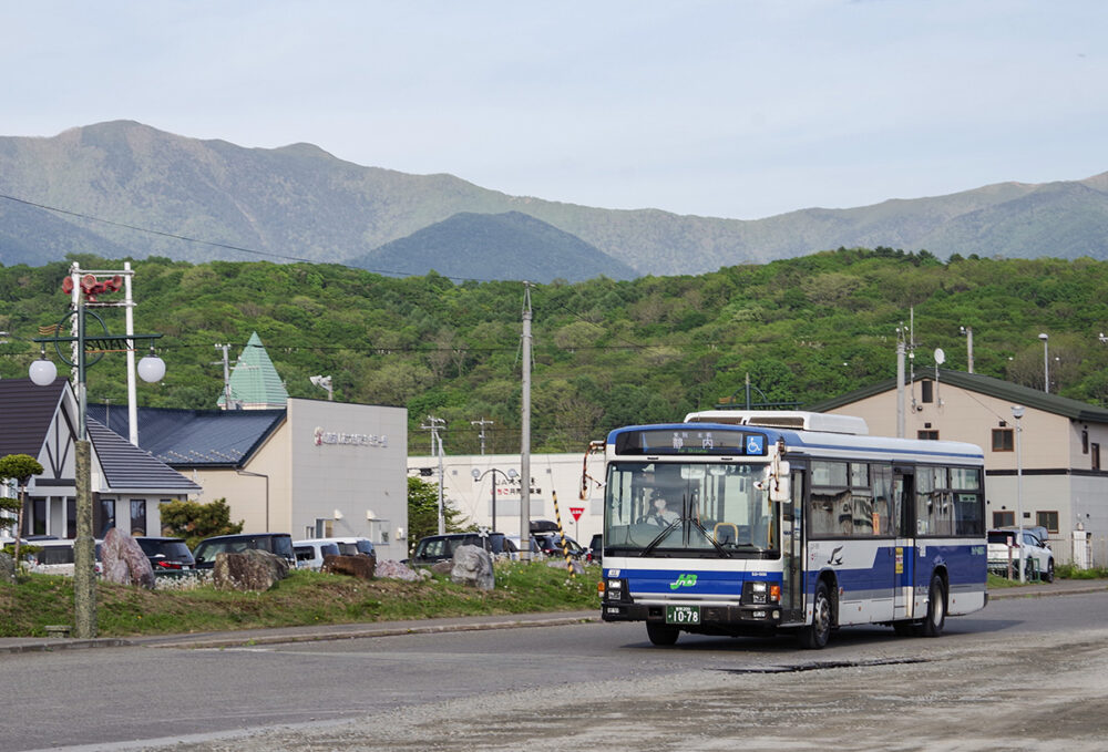 凄く楽しいローカル路線バス旅ではあるものの……