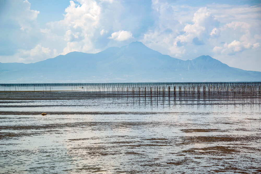 バスの車窓に、有明海らしさ溢れる干潟の先に島原半島が鎮座する景色が広がる