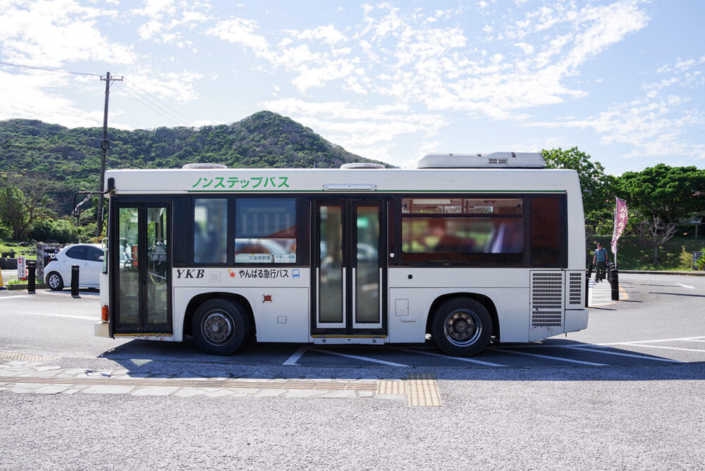 あまり見かけなくなった「えらく短い路線車」がアツい!