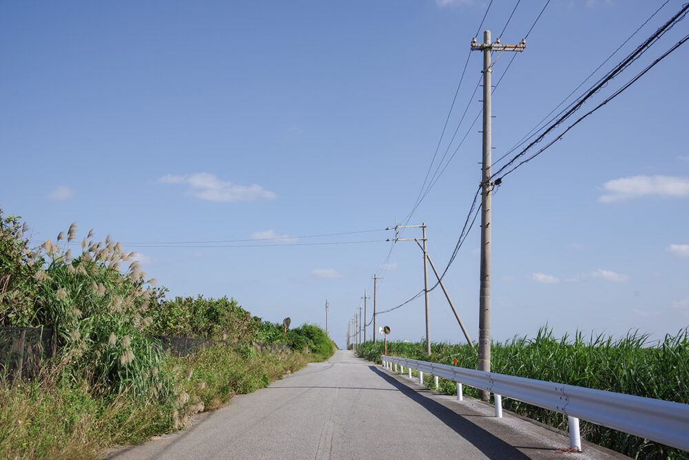 この道をまーっすぐ進むと温泉