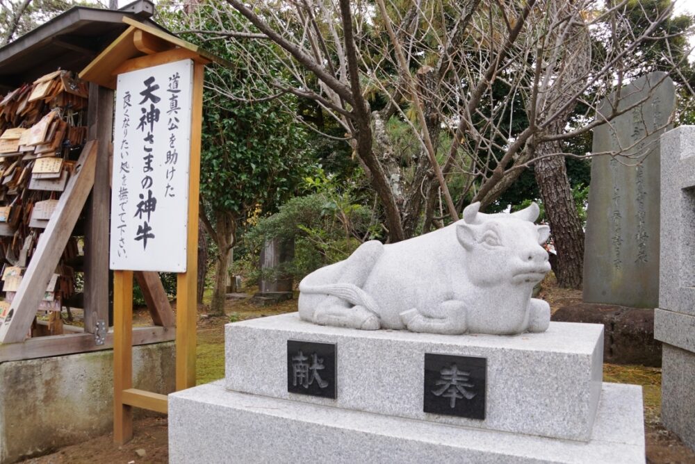 天神様の神使は牛