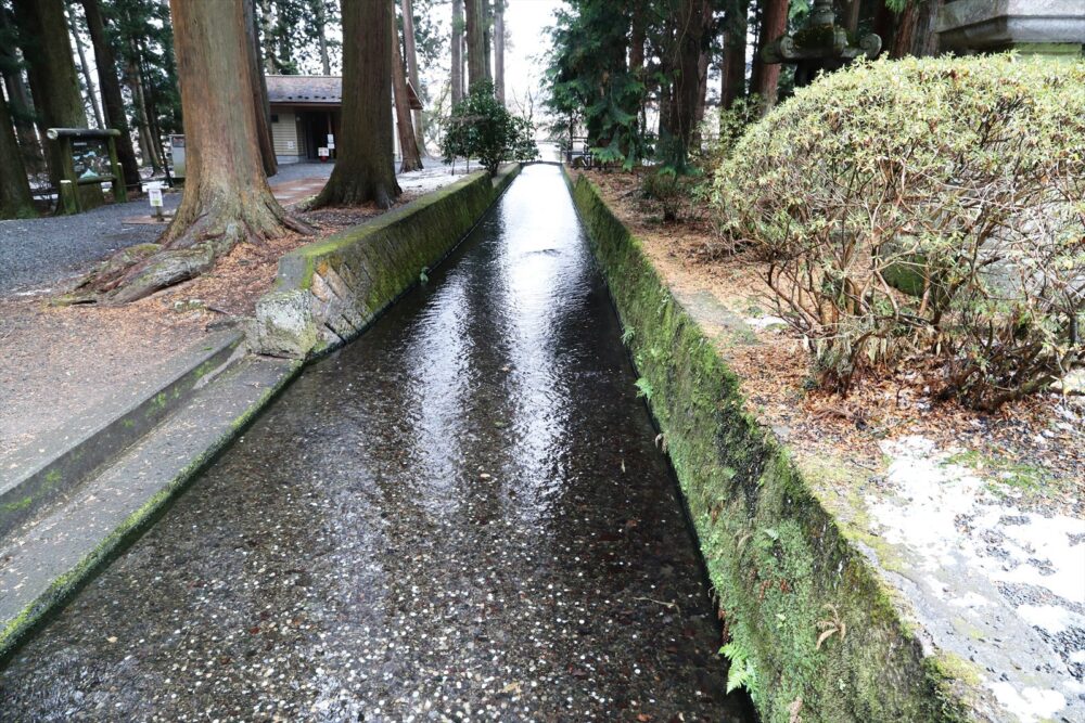 自然いっぱいの神社境内