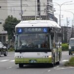 昨年末に行われた「ひろしまバスまつり」は大規模で大盛況……ファンは熱い１日を過ごした!!