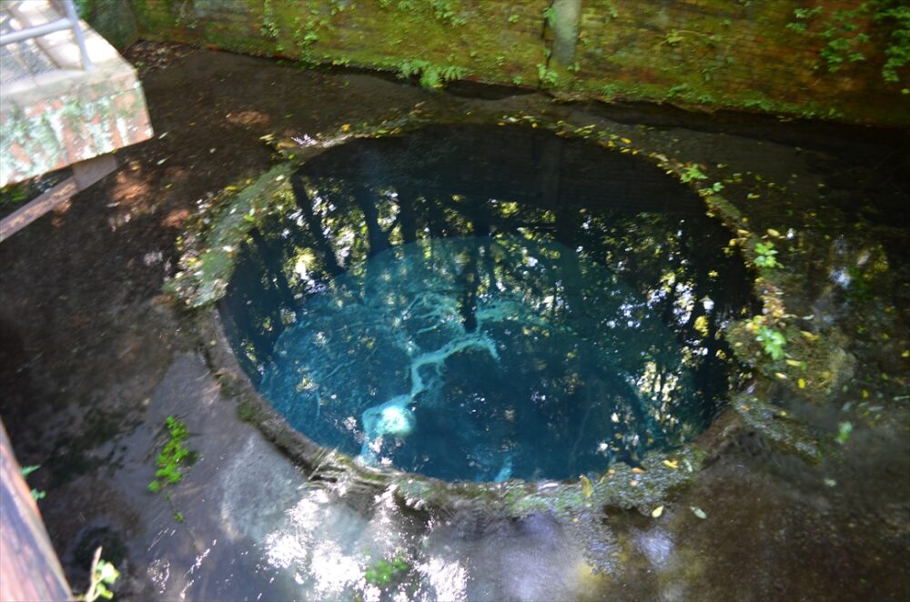 コバルトブルーの湧水