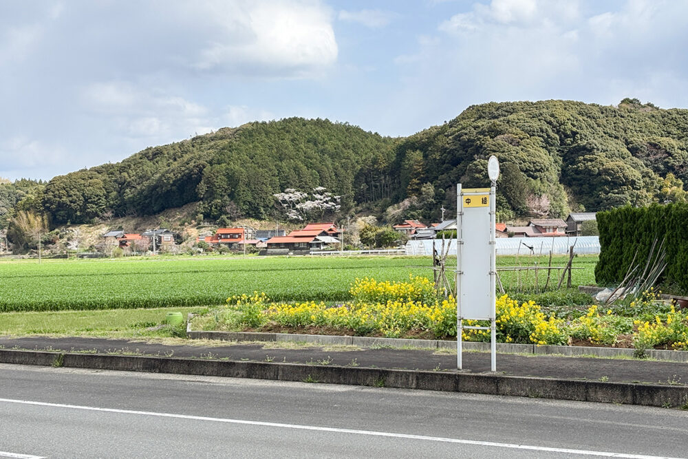 歩いた区間ずっと生活バスの停留所が続いていた