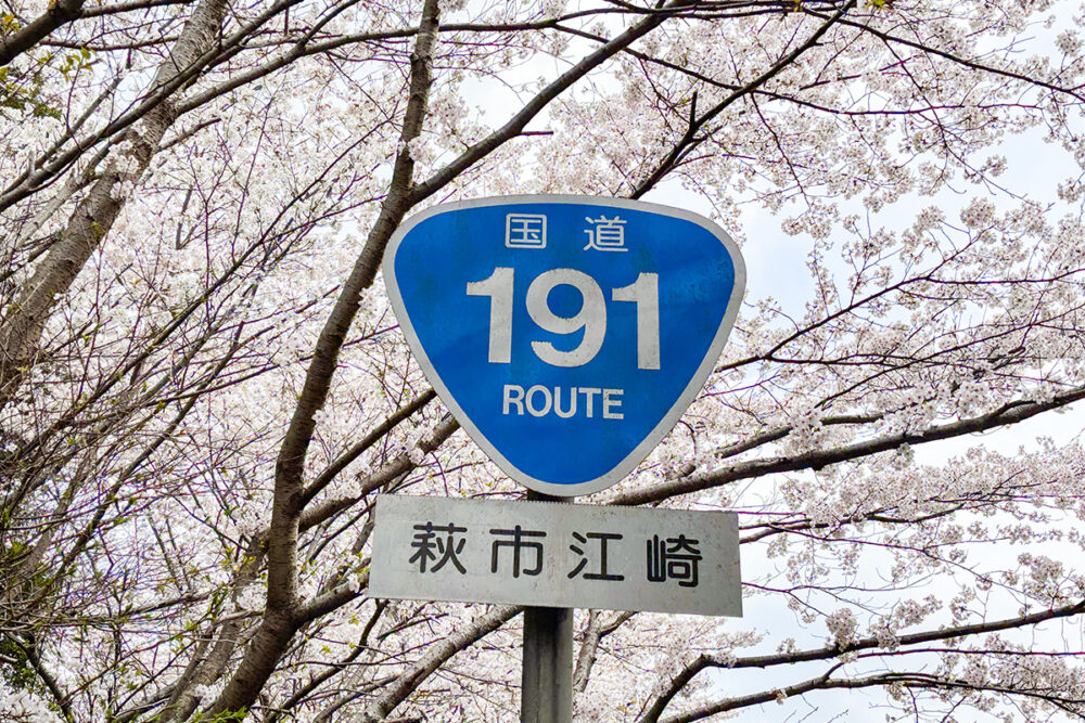 駅を出て国道191号線沿いまで移動