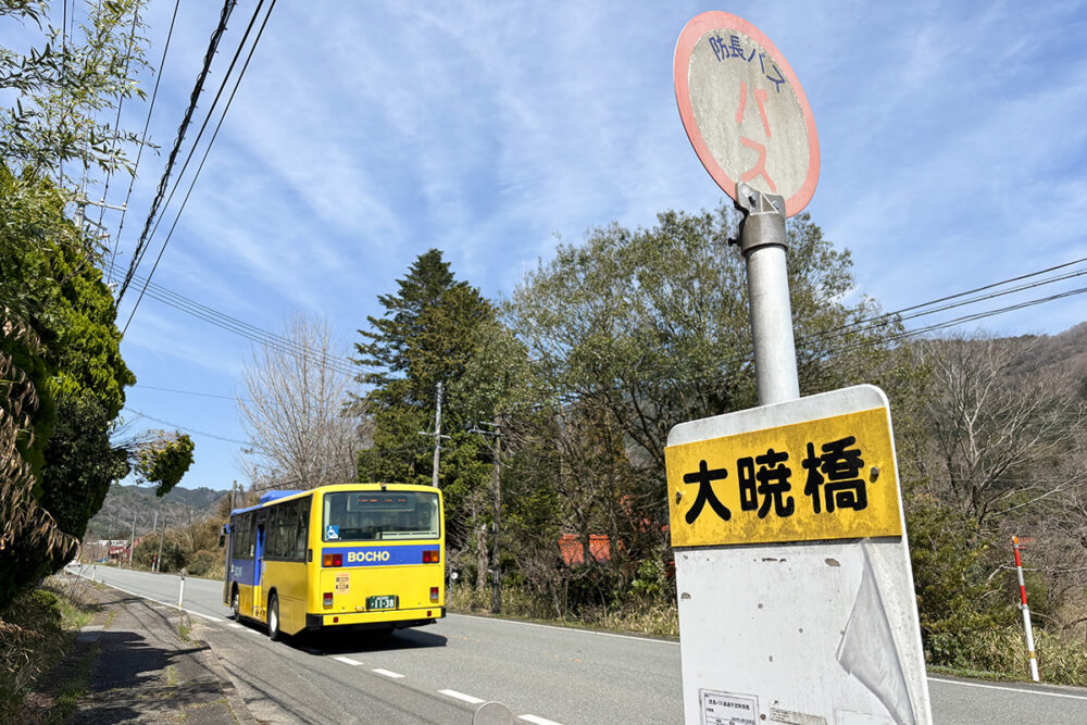 行きすぎちゃったよ