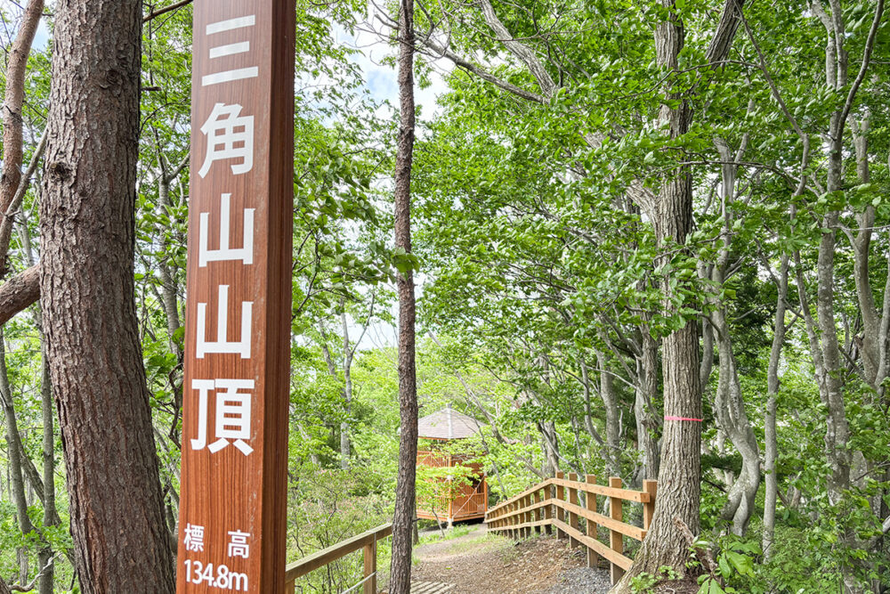 駅から徒歩圏内の山登りでもひとつ
