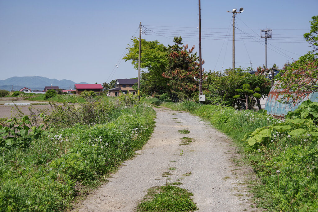 この緩いカーブ……いかにもな線路が通っていた場所っぽい