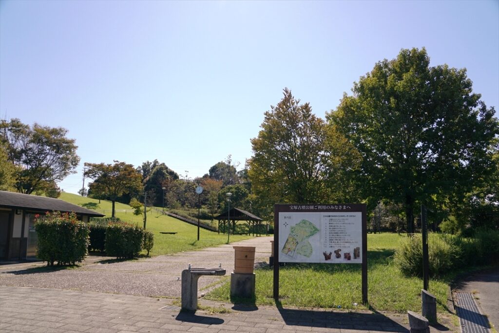 夏休みの自由研究にも！