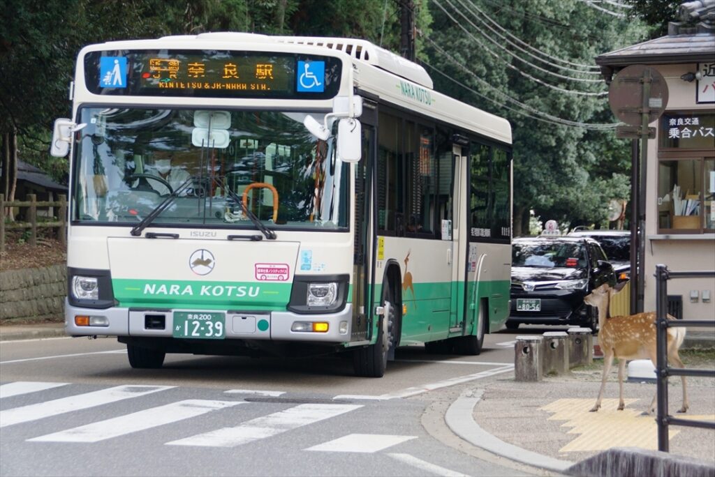 小鹿が横断歩道を渡ろとしている？