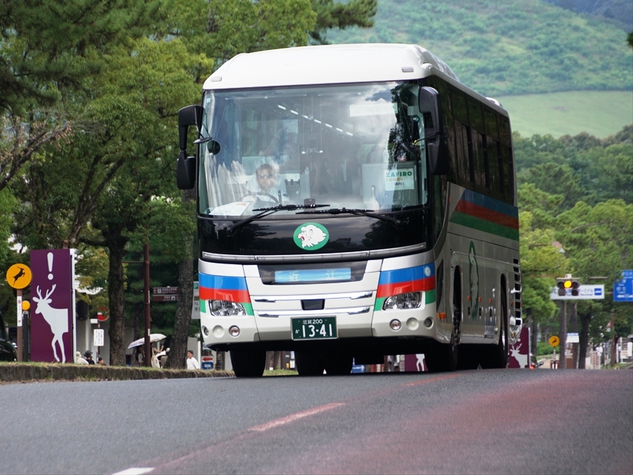 県外からの観光バスが特に多い印象