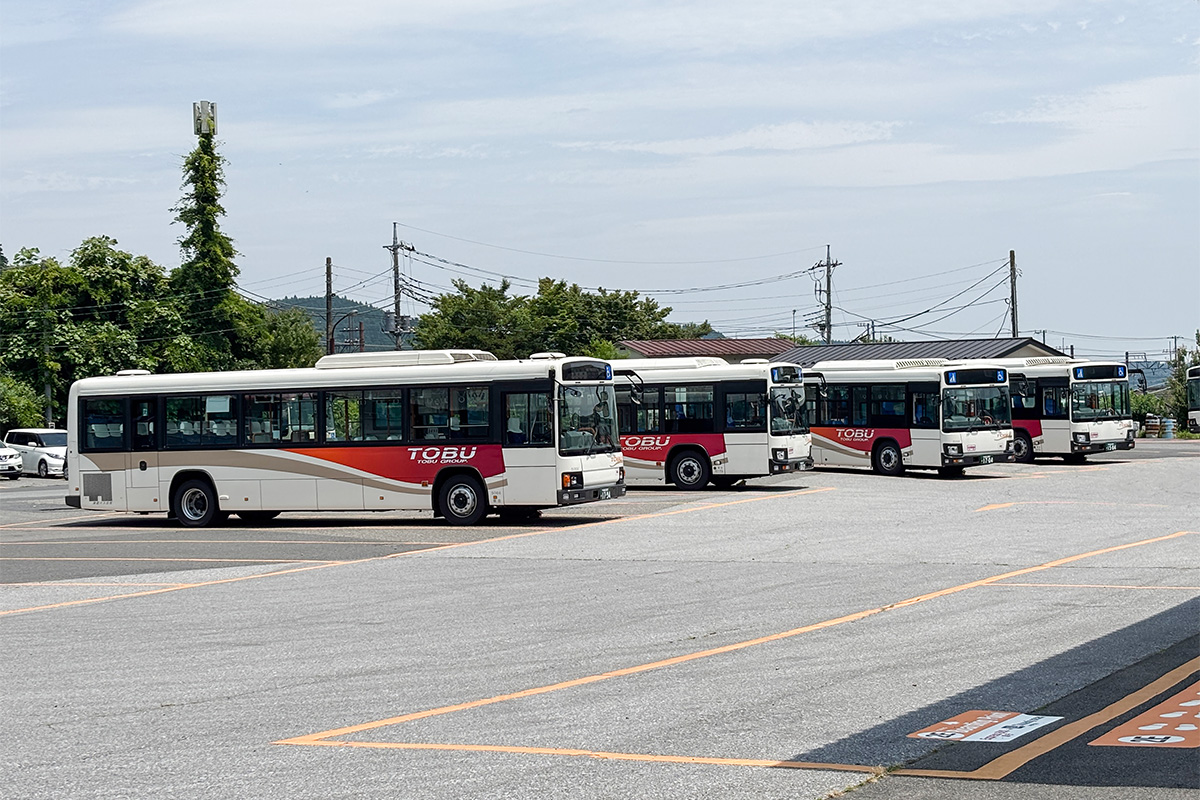 nikko_buswatch2025_catch.jpg