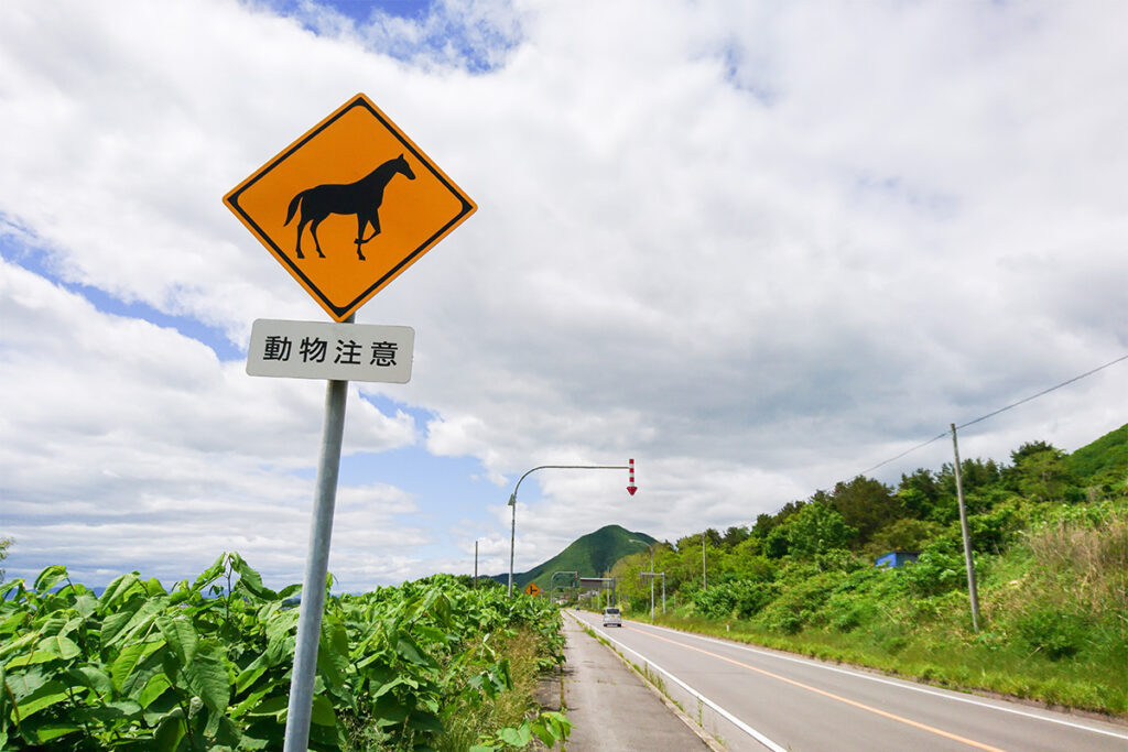 ご当地系が多々ある動物注意の標識